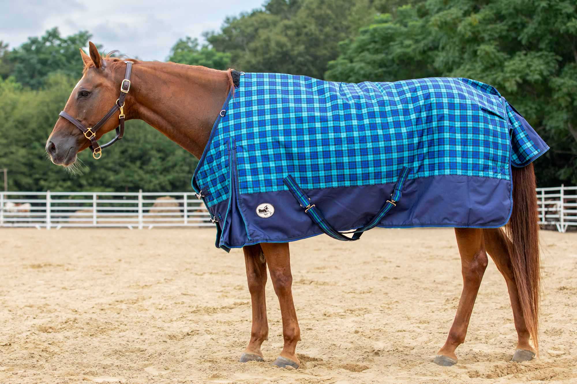 Jeffers Economy 600D Royal Blue/Teal Plaid Horse Blanket, 240g