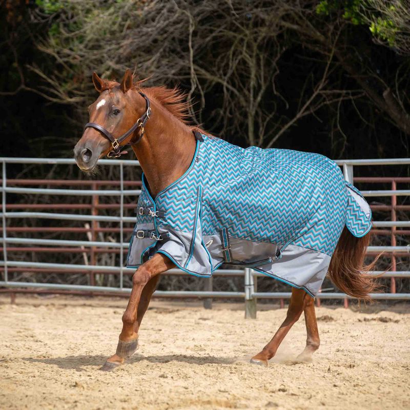 Jeffers equine hot sale blankets