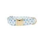 Pink Papyrus Drew Dog Collar - Xs : Target