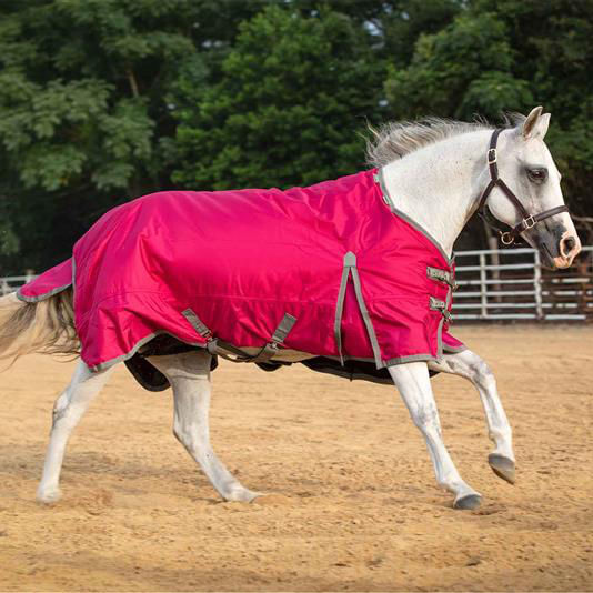 Horse Blanket Snap Leg Straps