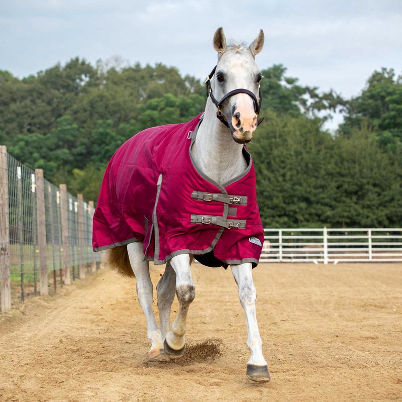 Jeffers 1680D Romper Stomper Horse Blanket, 240g Jeffers