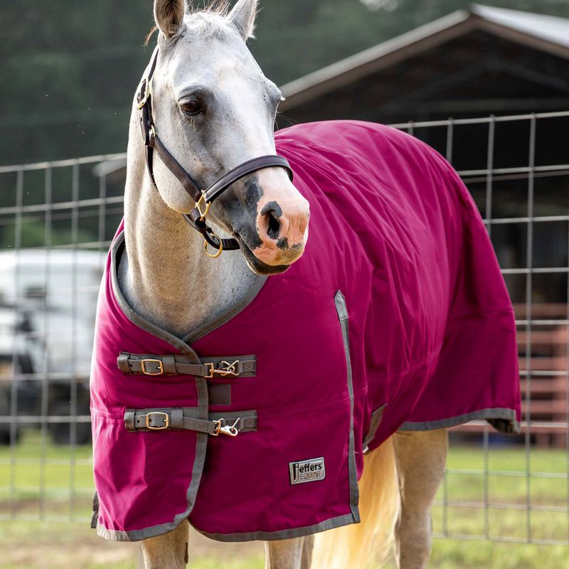 Jeffers 1680D Romper Stomper Horse Blanket, 240g Jeffers