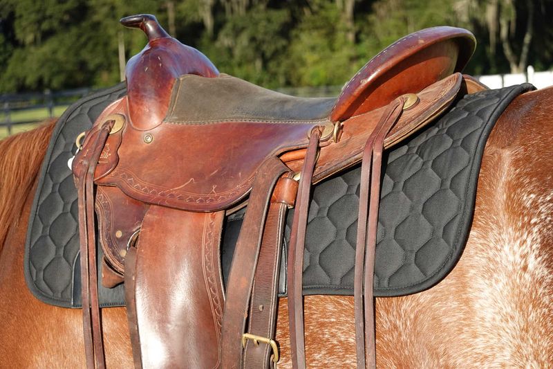 Jeffers equine saddle online pads