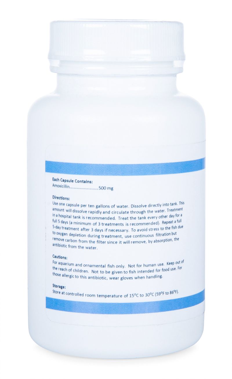 Aqua mox 500mg amoxicillin antibiotic