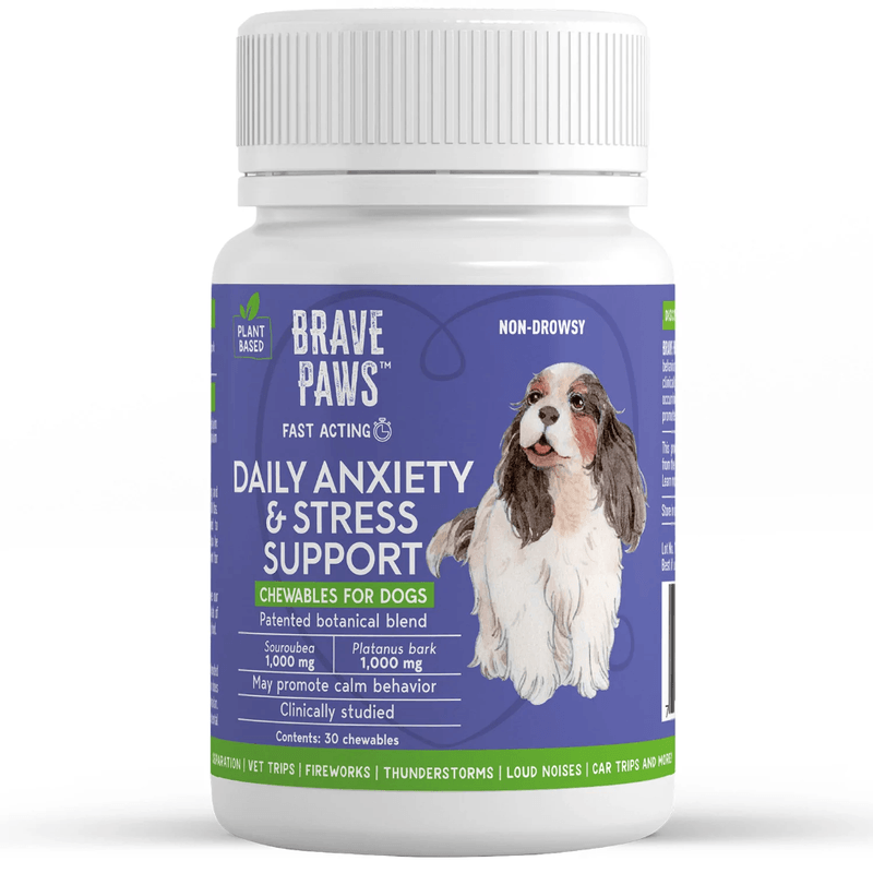 Brave Paws Anxiety & Stress Support Chewables, Beef, 30 ct - Jeffers