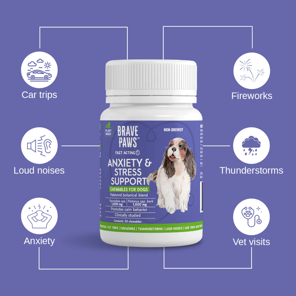 Brave Paws Anxiety & Stress Support Chewables, Beef, 30 ct Jeffers