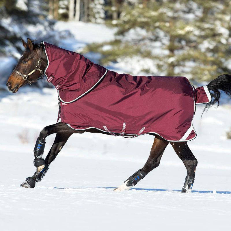 Rambo DUO Blanket, Burgundy, 66" Jeffers