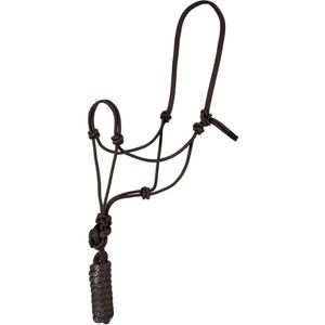 12 Days Rope Horse Halter w/Lead, Black, 6 pack