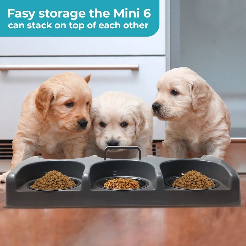 6 bowl outlet puppy feeder station