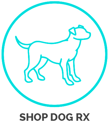Shop Dog Pharmacy