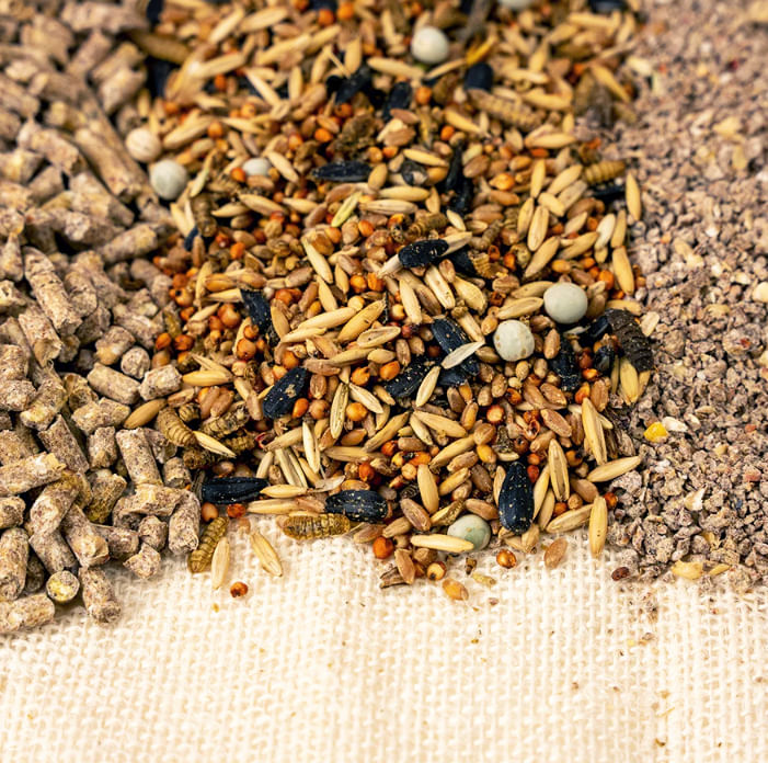 Happy Hen Ultra Peckable Feed, 10 lb Jeffers