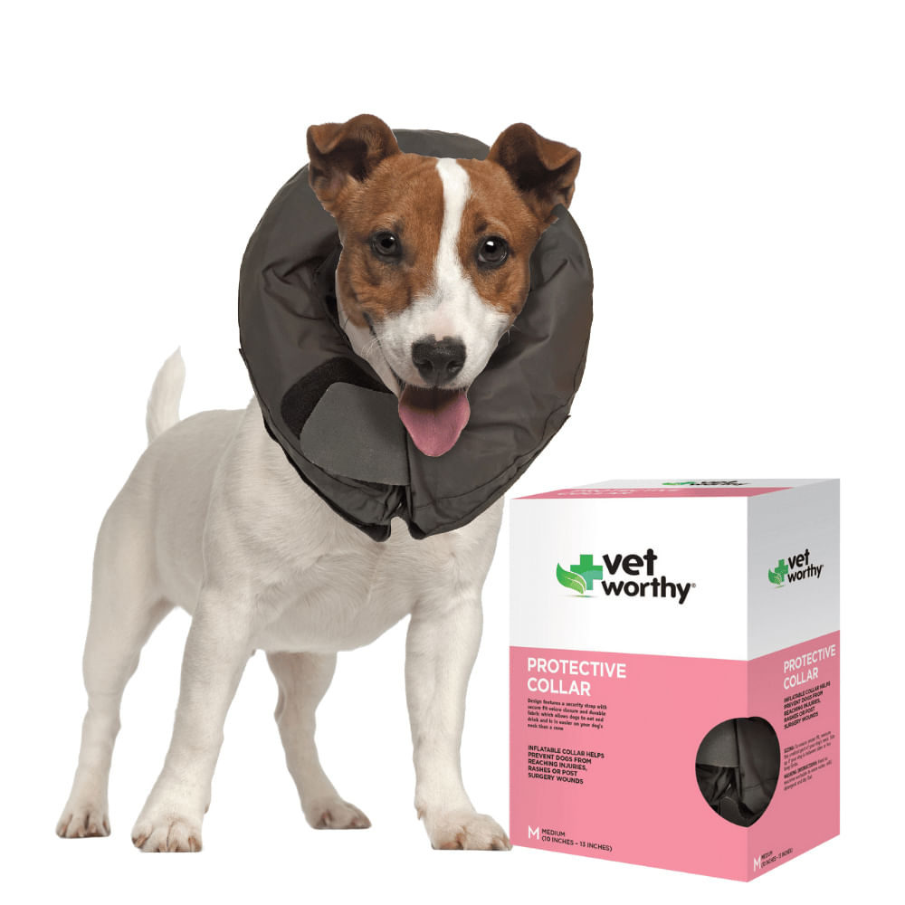 Vet Worthy Inflatable Collar, Black Jeffers