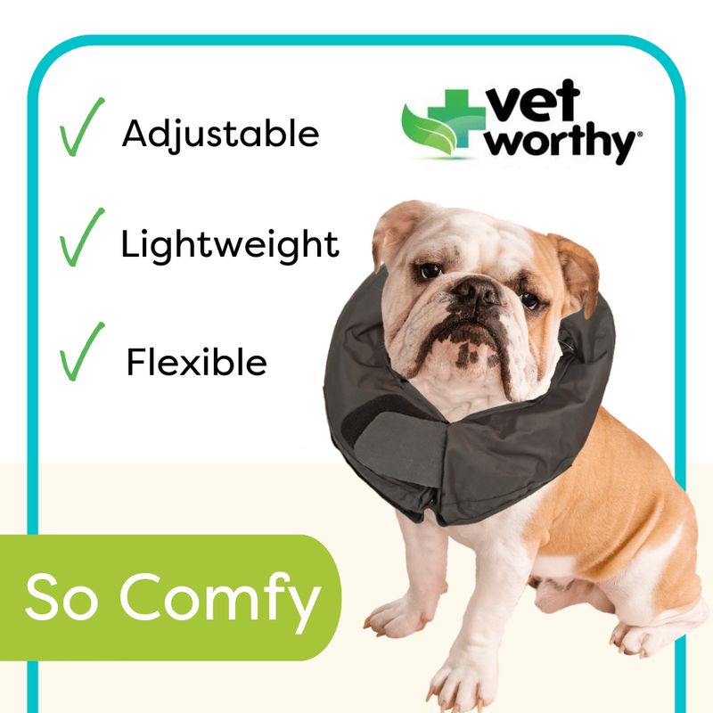 Vet Worthy Inflatable Collar, Black Jeffers