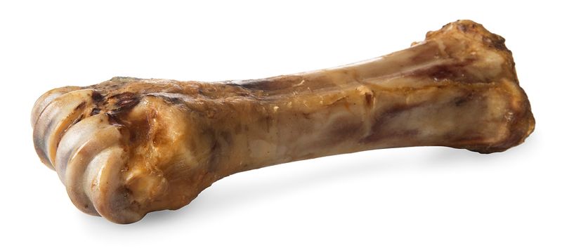 are beef shank bones safe for dogs