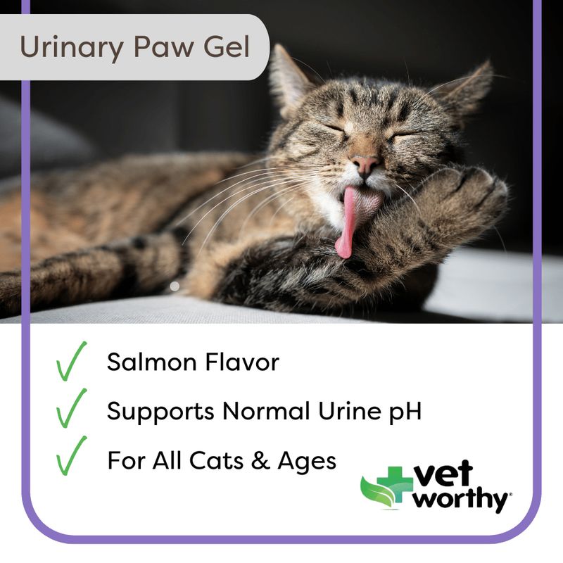 Vet Worthy Urinary Paw Gel for Cats, 3 oz Jeffers