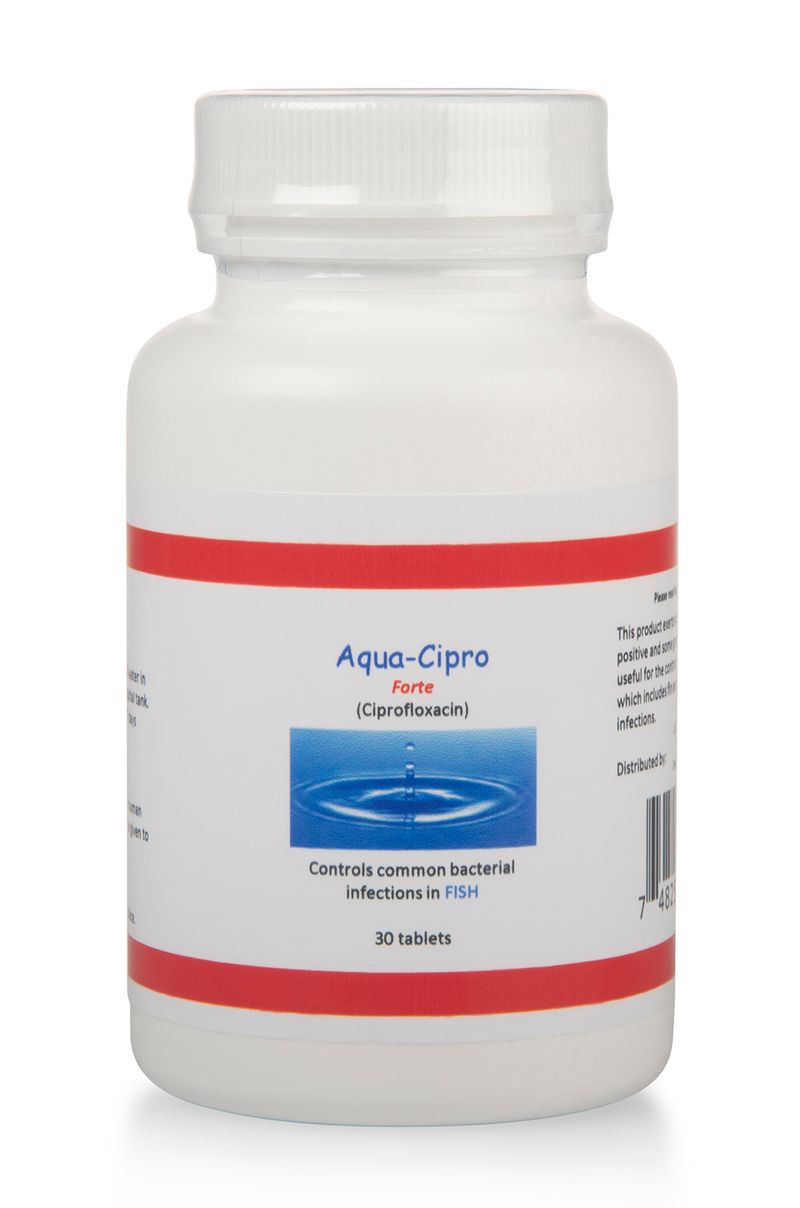 Cipro online services
