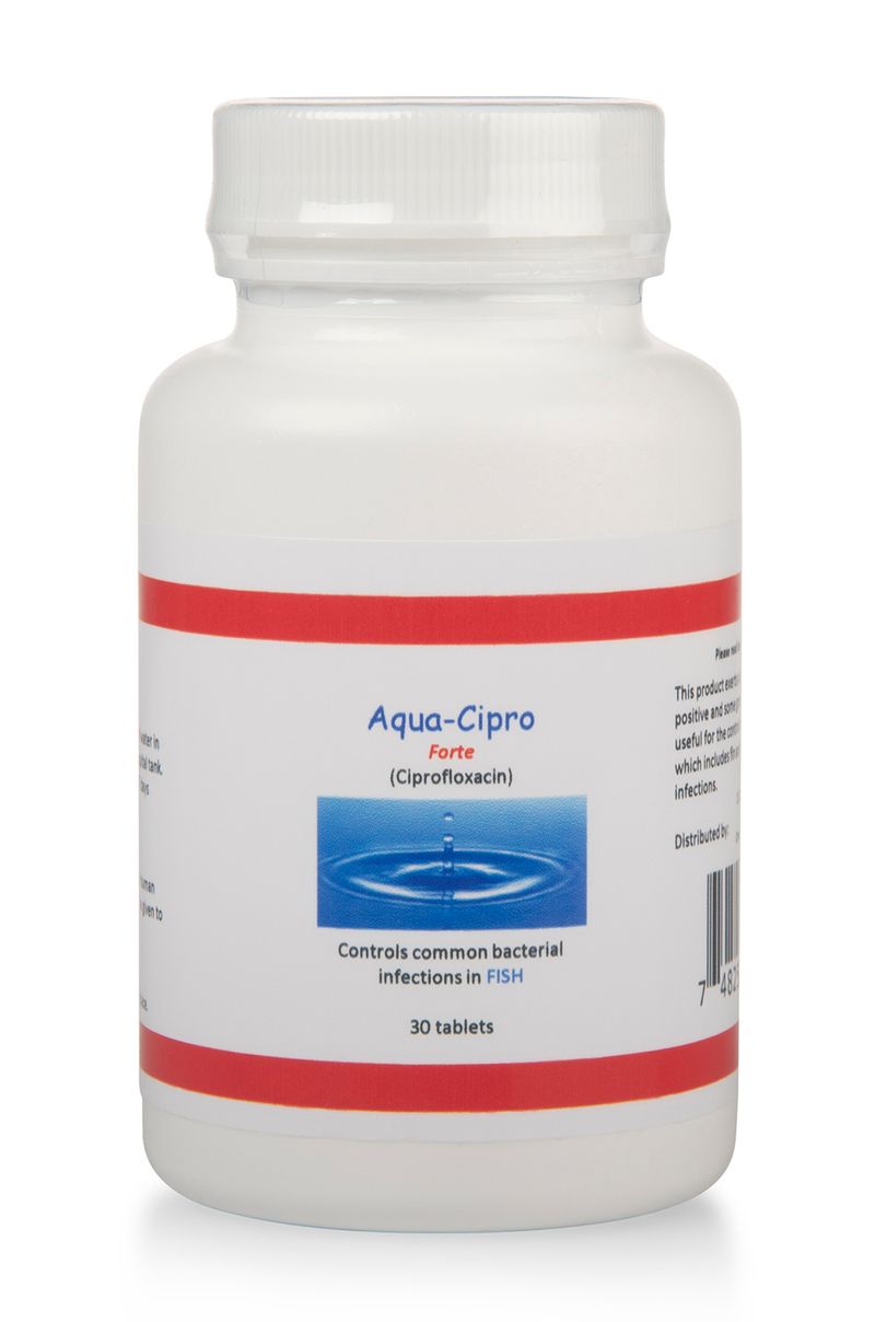 buy cipro 500mg online