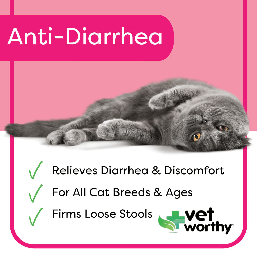 Vet Worthy Feline Anti Diarrhea Liquid 4 Oz Jeffers vet-worthy-feline-anti-diarrhea-liquid-4-oz-jeffers