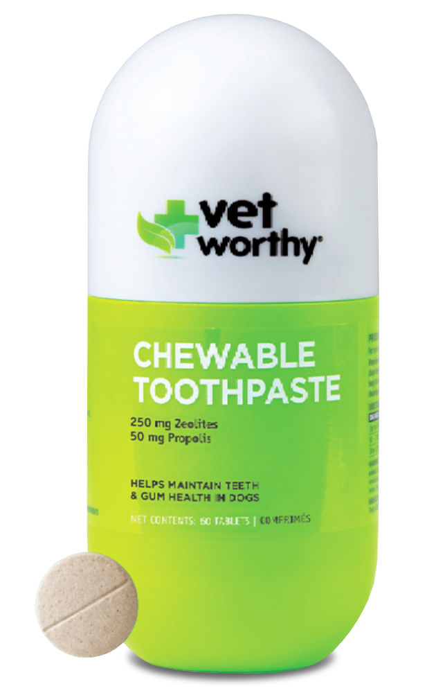 VetWorthy-Chewable-Toothpaste-For-Dogs-60-ct