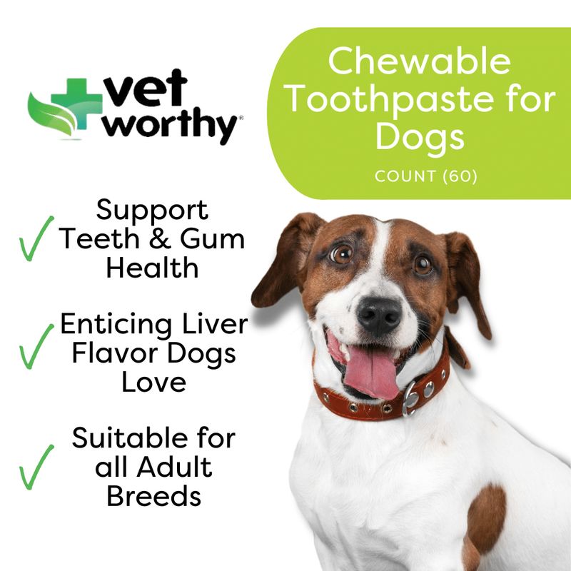 VetWorthy-Chewable-Toothpaste-For-Dogs-60-ct