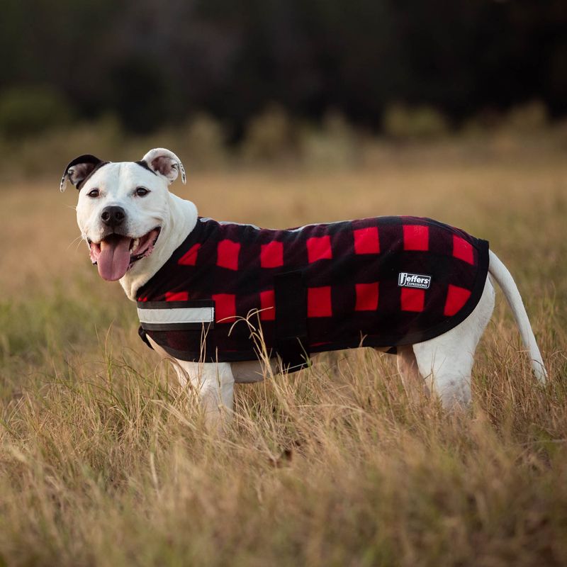 Jeffers-Expression--Buffalo-Check--Fleece-Dog-Rug