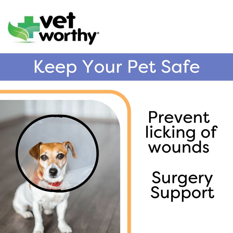 Vet worthy protective store collar