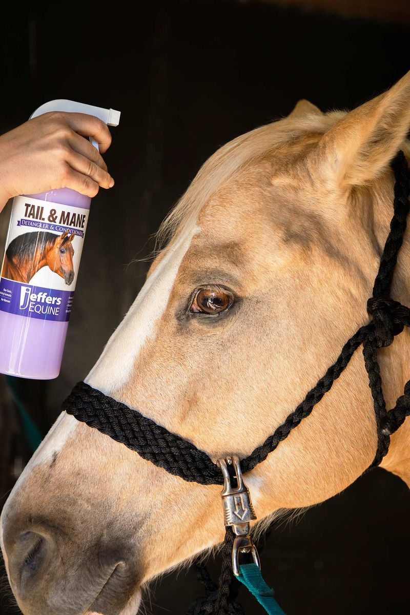 Jeffers Tail & Mane Detangler & Conditioner for horses Jeffers