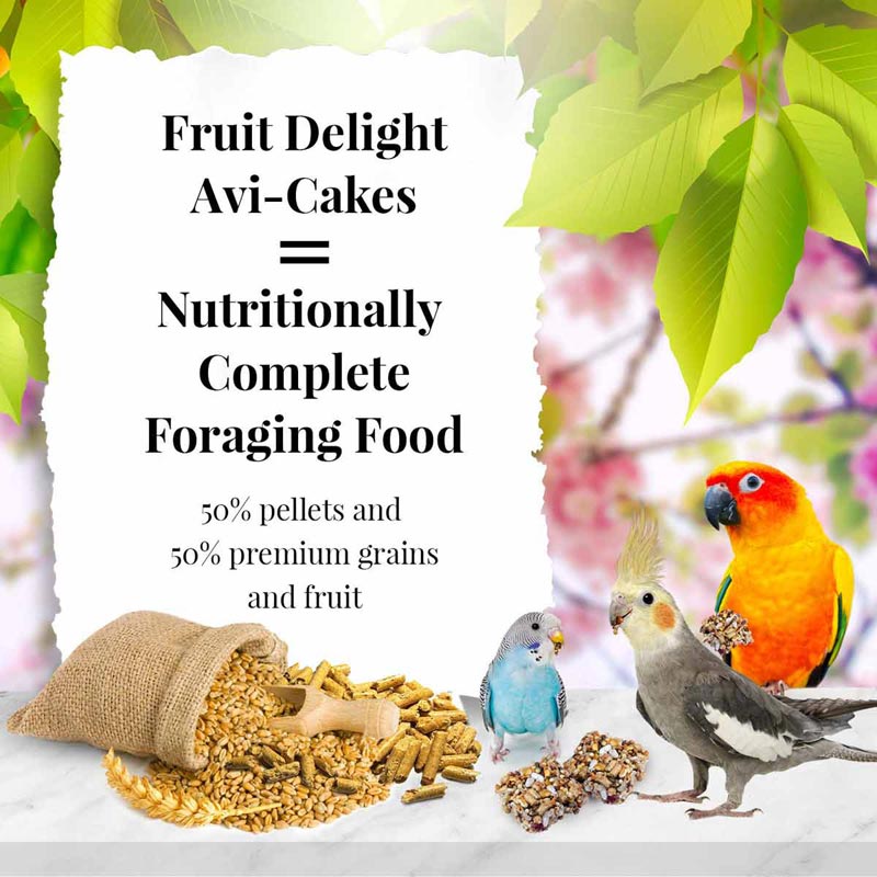 Lafeber-Fruit-Delight-Avi-Cakes-for-Small-Birds-8-oz
