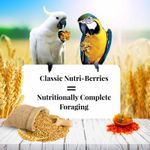 Lafeber-Classic-Macaw-Nutri-Berries-10-oz-bag