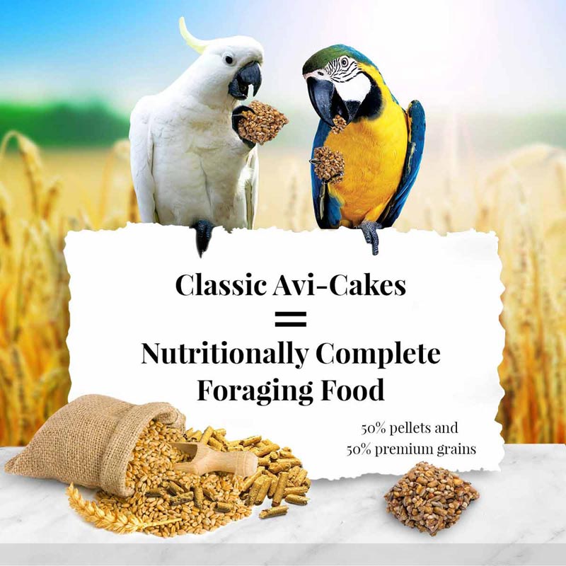 Lafeber-Classic-Avi-Cakes-for-Macaw-Cockatoo-1-lb-bag