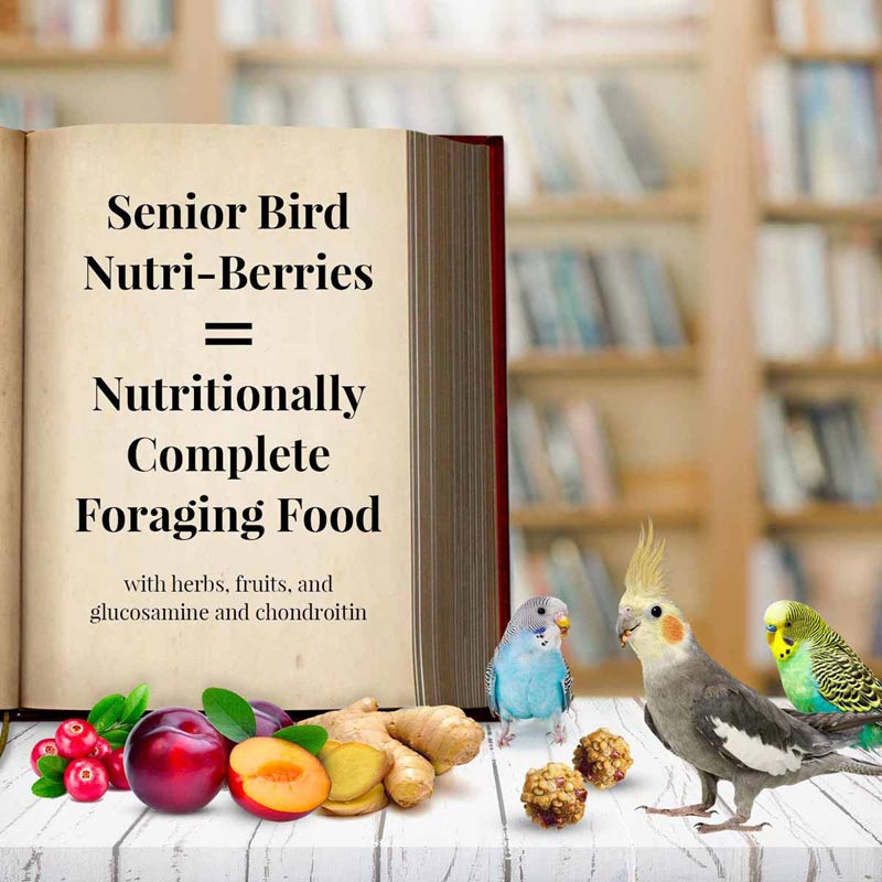 Lafeber-Senior-Bird-Nutri-Berries-for-Parakeet-Cockatiel-10-oz-bag