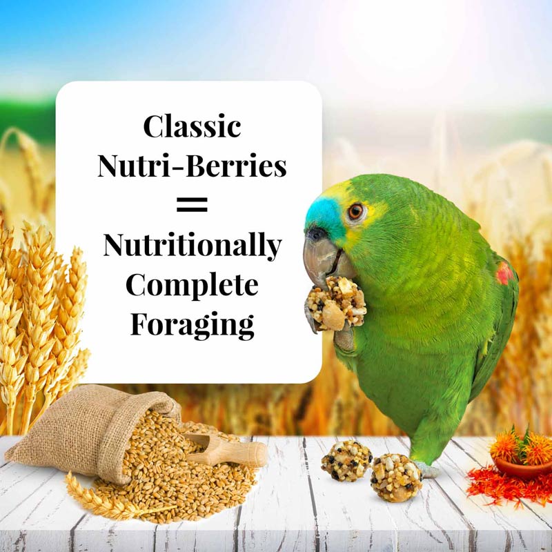 Lafeber-Classic-Parrot-Nutri-Berries-10-oz-bag