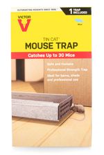 Tin-Cat-Mouse-Trap