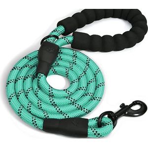 Doggy Tales Braided Rope Leash, 5 ft