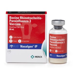 Bovilis Nasalgen IP Cattle Vaccine