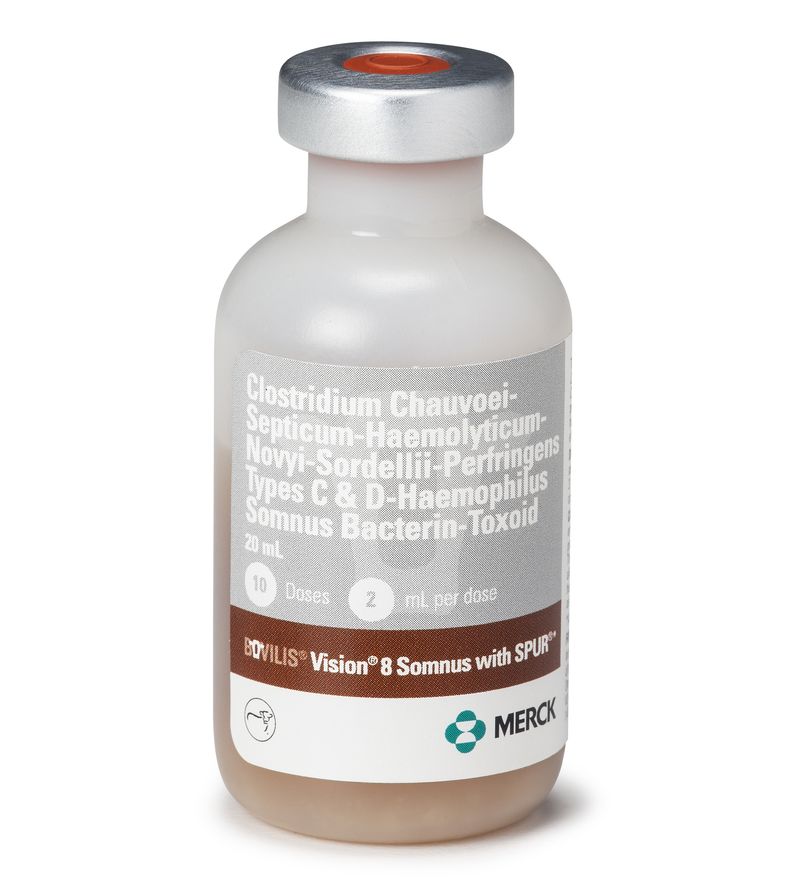 Bovilis Vision 8 Somnus with Spur Cattle Vaccine Jeffers