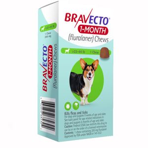 Bravecto 1 Month Chew