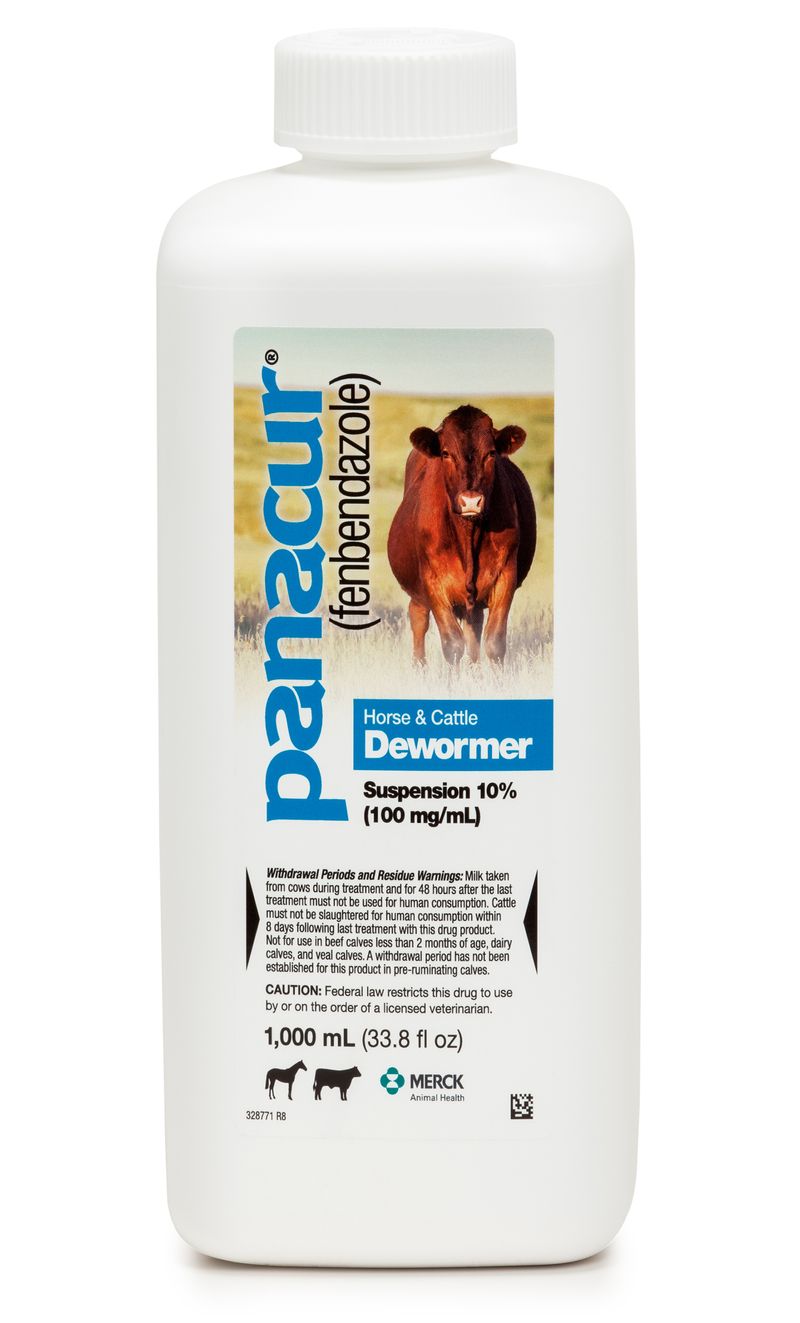 Panacur lungworm outlet treatment