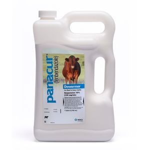 Panacur, 10% Suspension, Horse & Cattle