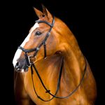 Micklem 2.0 Deluxe Competition Bridle, Black - Jeffers