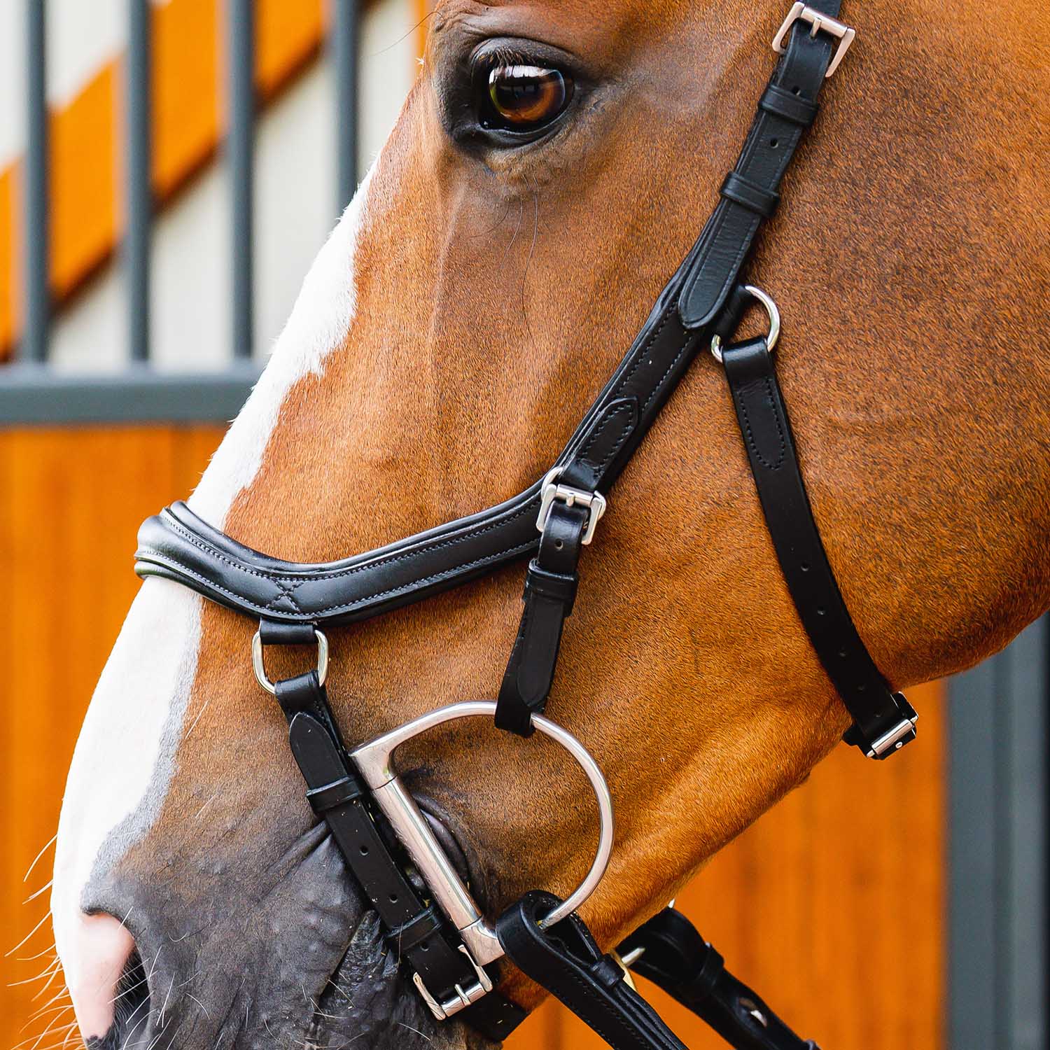 Micklem 2.0 Deluxe Competition Bridle, Black - Jeffers
