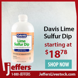 Lime Sulfur Dip