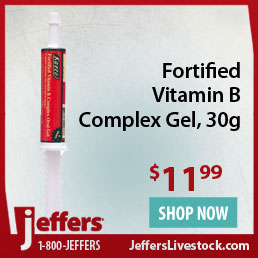 Fortified Vitamin B Complex Gel