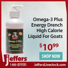 Omega 3 Plus Energy Drench High Calorie Liquid for Goats