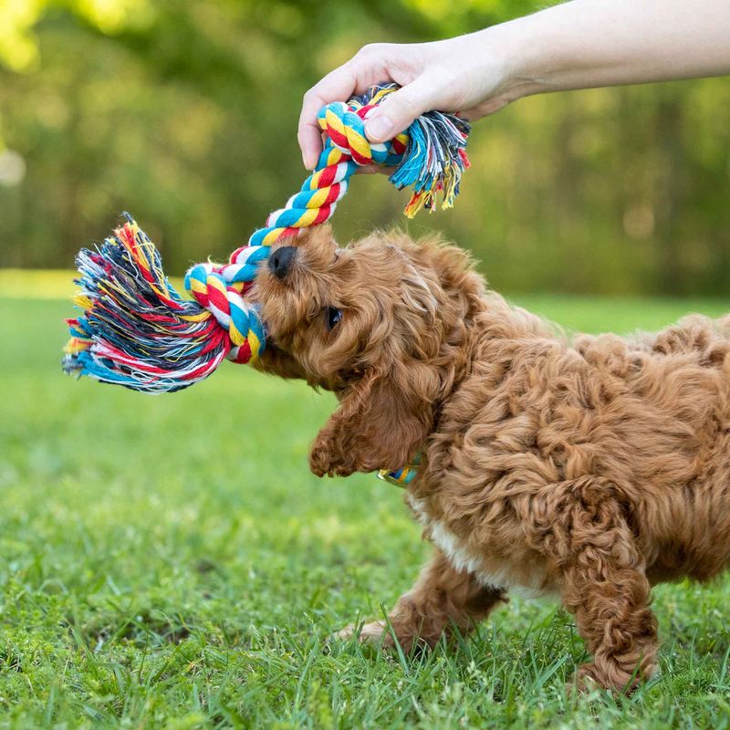 Bonita Pet Dog Chew Toy - Dog Toy for Aggressive Chewer - Indestructible Dog