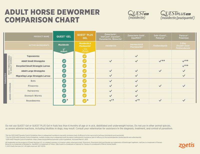 Quest Plus Horse Dewormer Gel 2% Moxidectin, 12.5% Praziquantel - Jeffers
