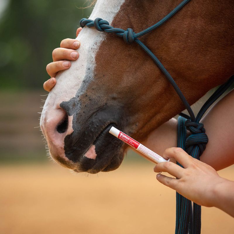 Ivermectin Gel Horse Wormer, Single Dose Jeffers