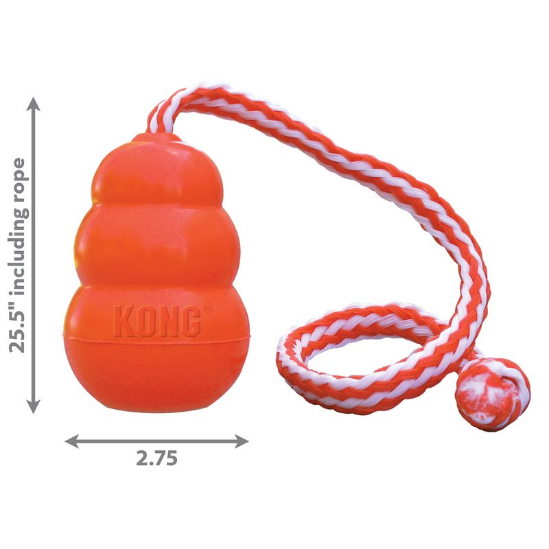 KONG Aqua Floating Water Dog Toy Jeffers
