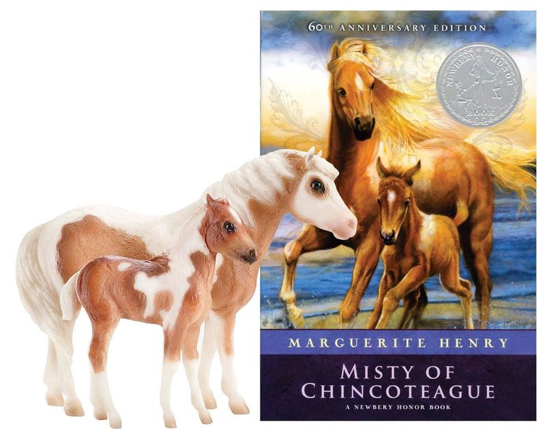 Misty-of-Chincoteague-and-Her-Foal-Stormy---Book-Set