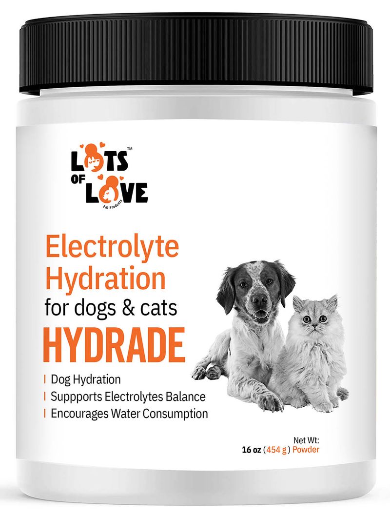 Lots of Love HydrADE Powder 8 oz